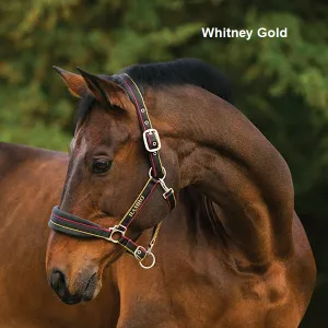 Rambo® Padded Halter