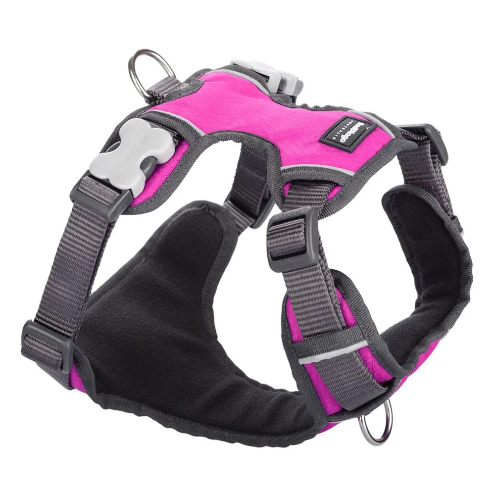 Red Dingo Padded Dog Harness (Extra-Large)