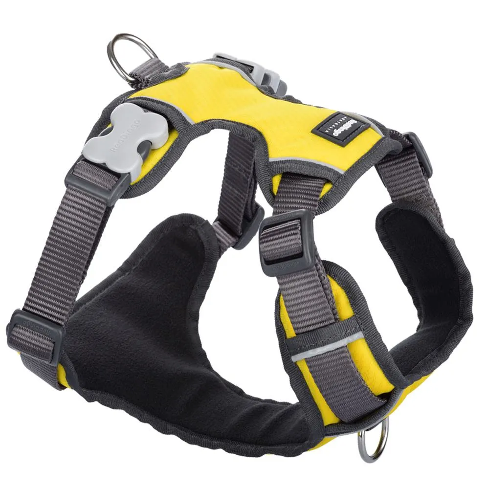 Red Dingo Padded Dog Harness (Extra-Large)