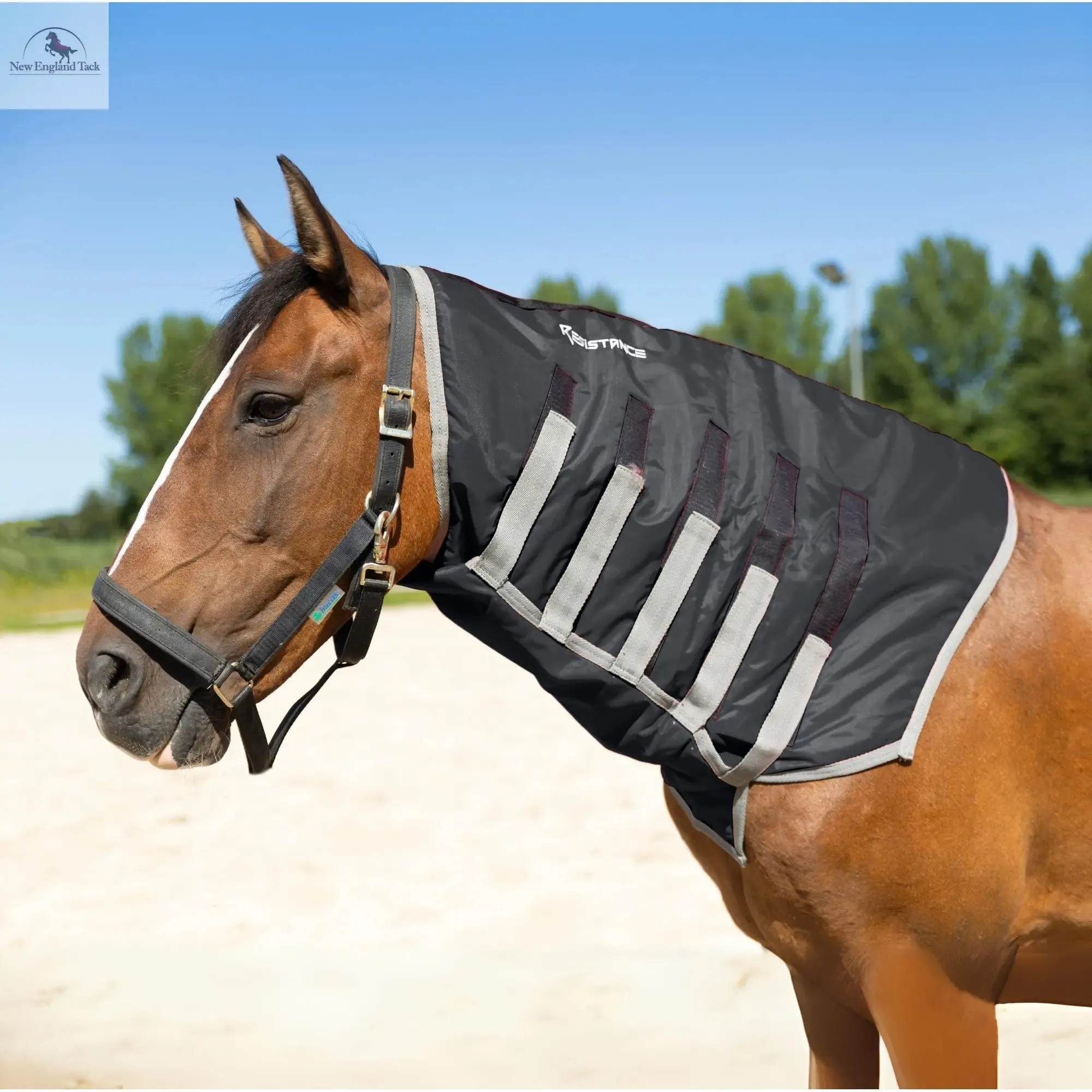 Resistance Lightweight Breathable Horse Neck Cover | Comfortable Waterproof Headless Hood (200 gm Fill)