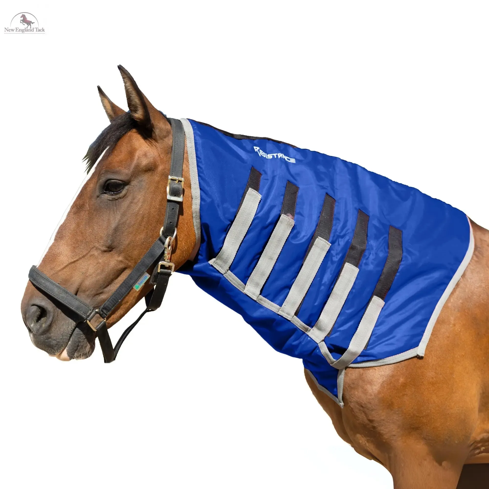 Resistance Lightweight Breathable Horse Neck Cover | Comfortable Waterproof Headless Hood (200 gm Fill)