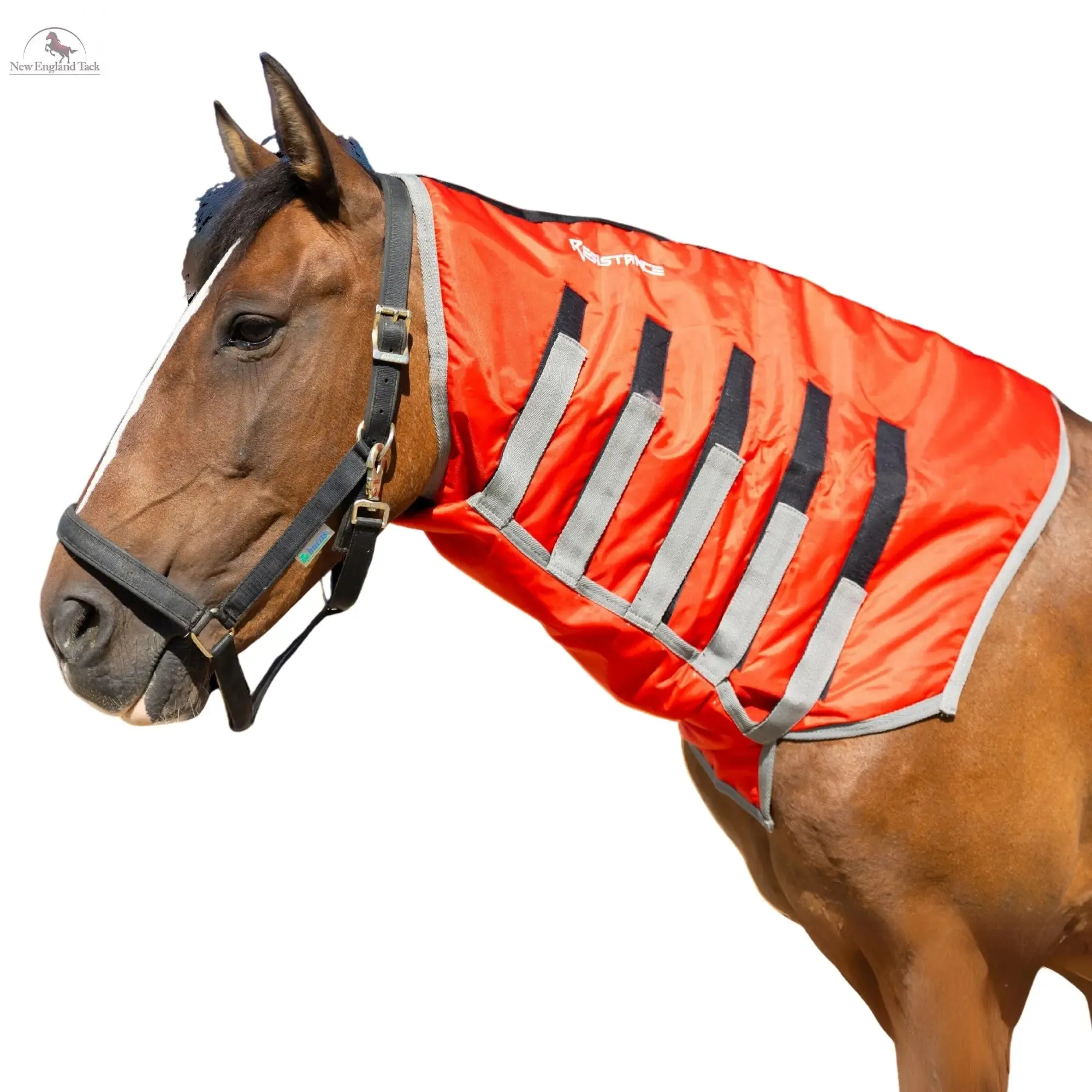 Resistance Lightweight Breathable Horse Neck Cover | Comfortable Waterproof Headless Hood (200 gm Fill)