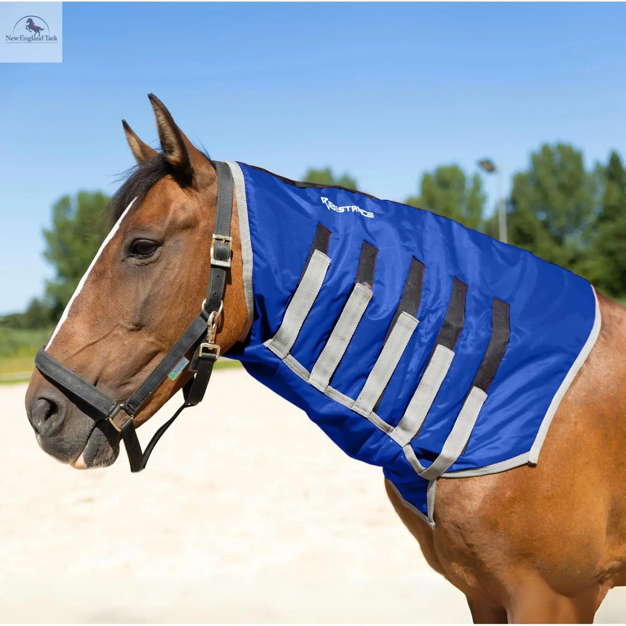 Resistance Lightweight Breathable Horse Neck Cover | Comfortable Waterproof Headless Hood (200 gm Fill)