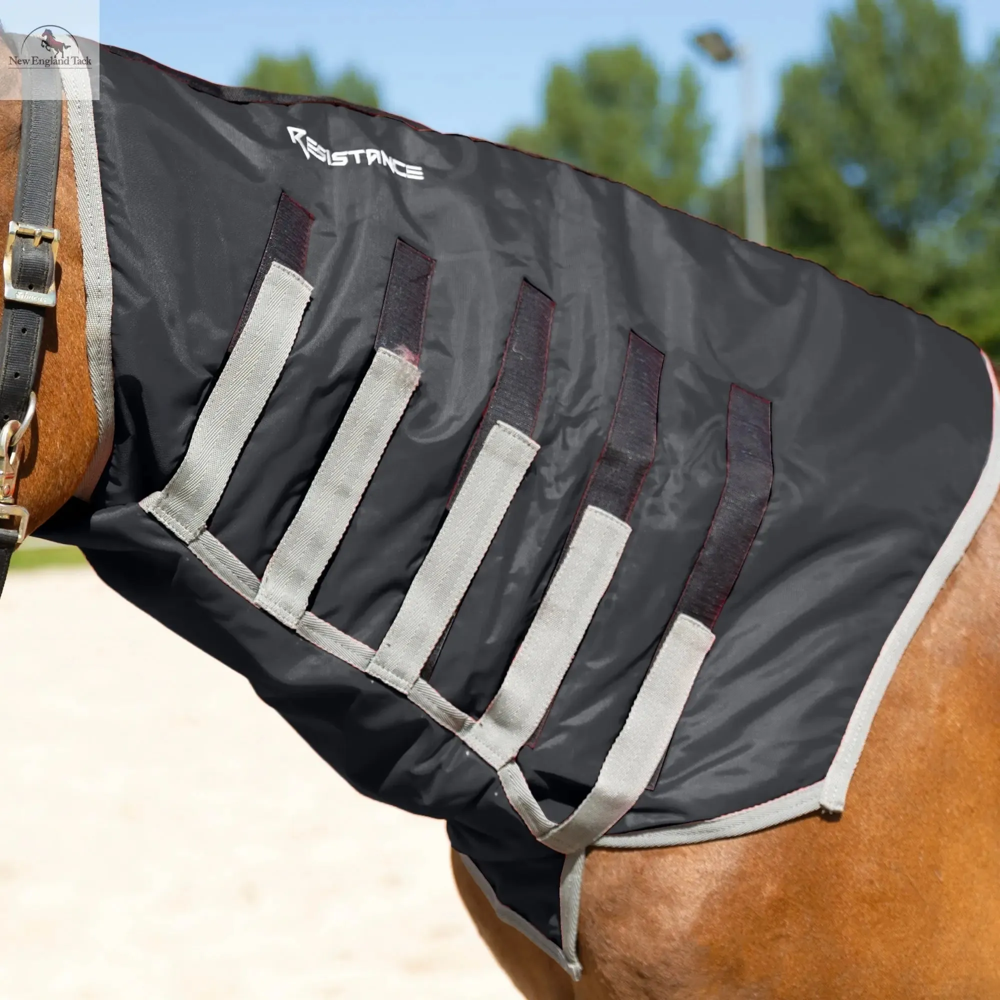 Resistance Lightweight Breathable Horse Neck Cover | Comfortable Waterproof Headless Hood (200 gm Fill)