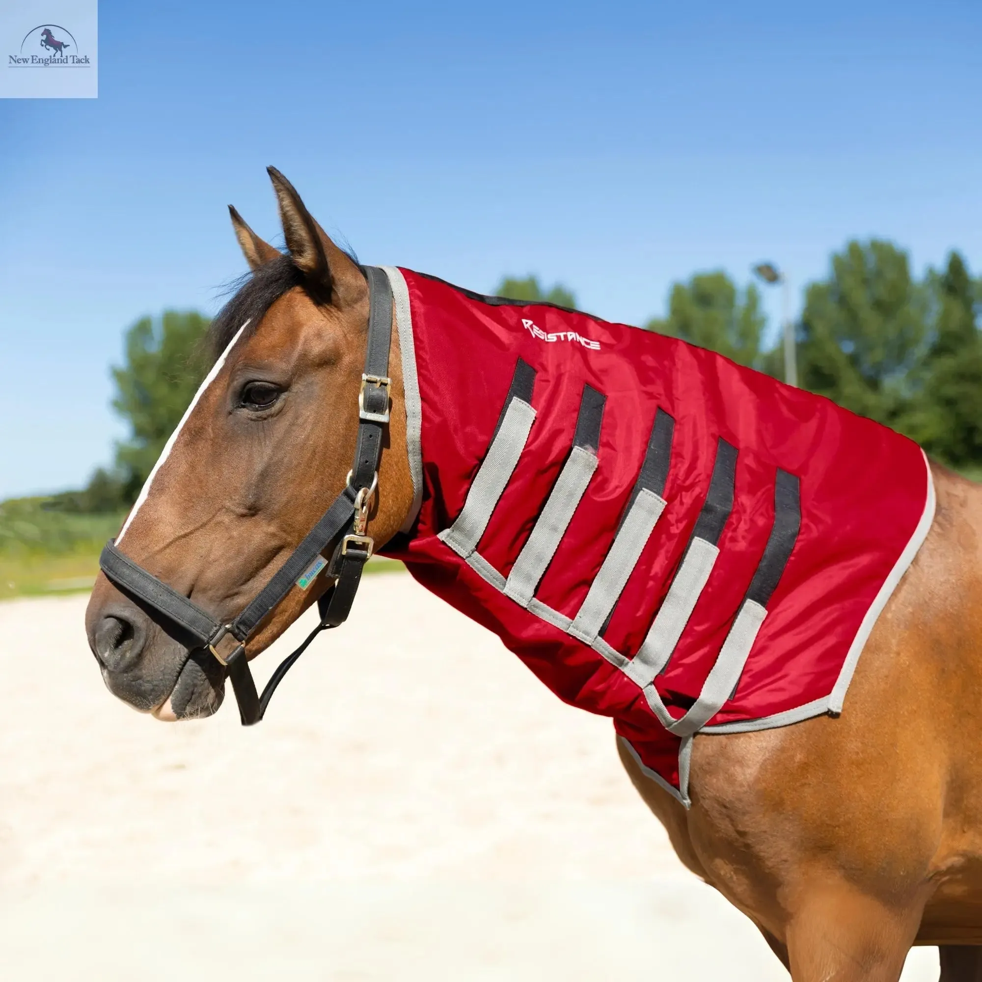 Resistance Lightweight Breathable Horse Neck Cover | Comfortable Waterproof Headless Hood (200 gm Fill)