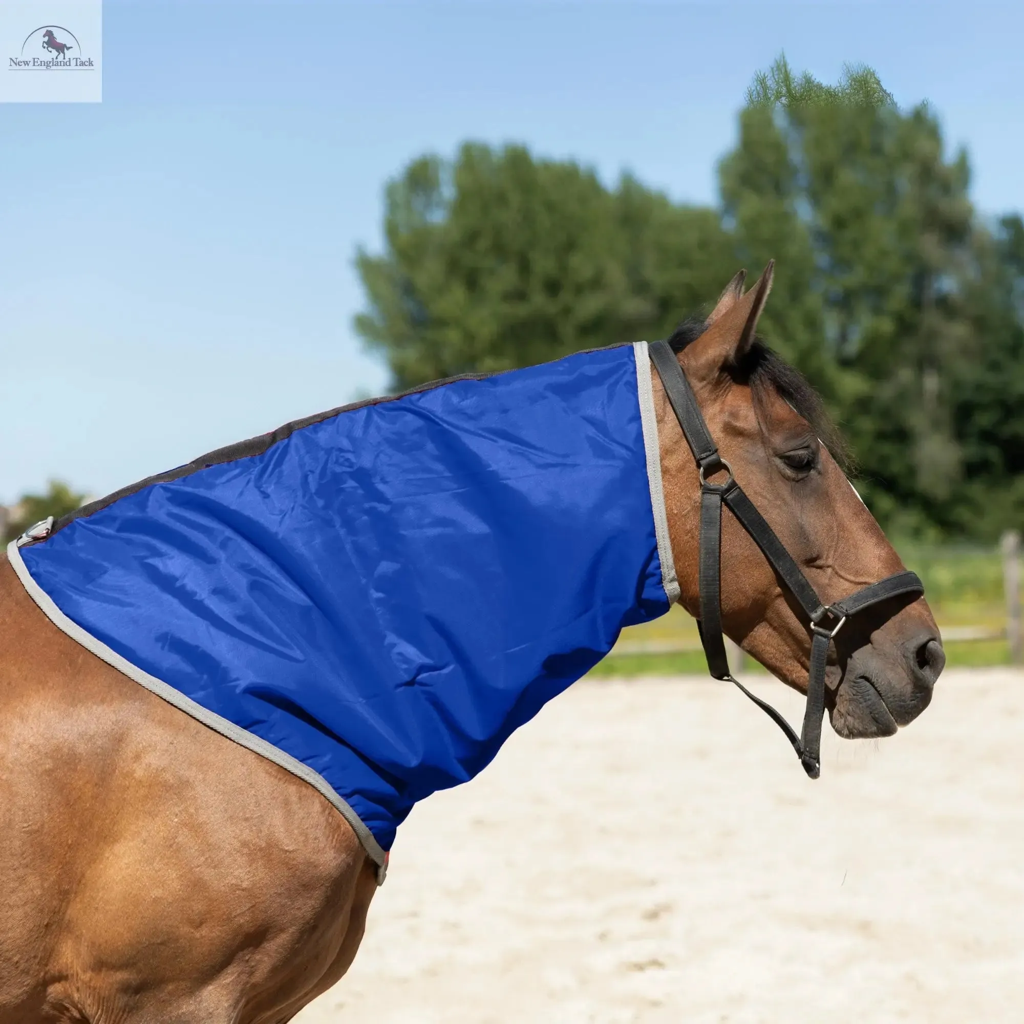 Resistance Lightweight Breathable Horse Neck Cover | Comfortable Waterproof Headless Hood (200 gm Fill)