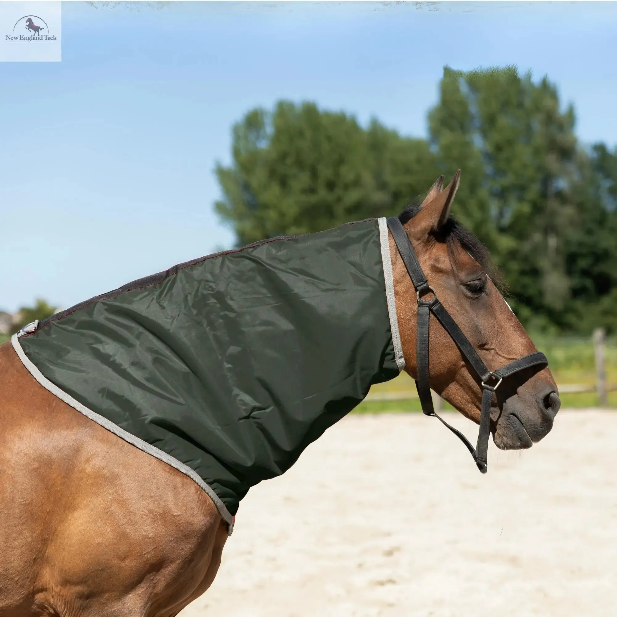 Resistance Lightweight Breathable Horse Neck Cover | Comfortable Waterproof Headless Hood (200 gm Fill)