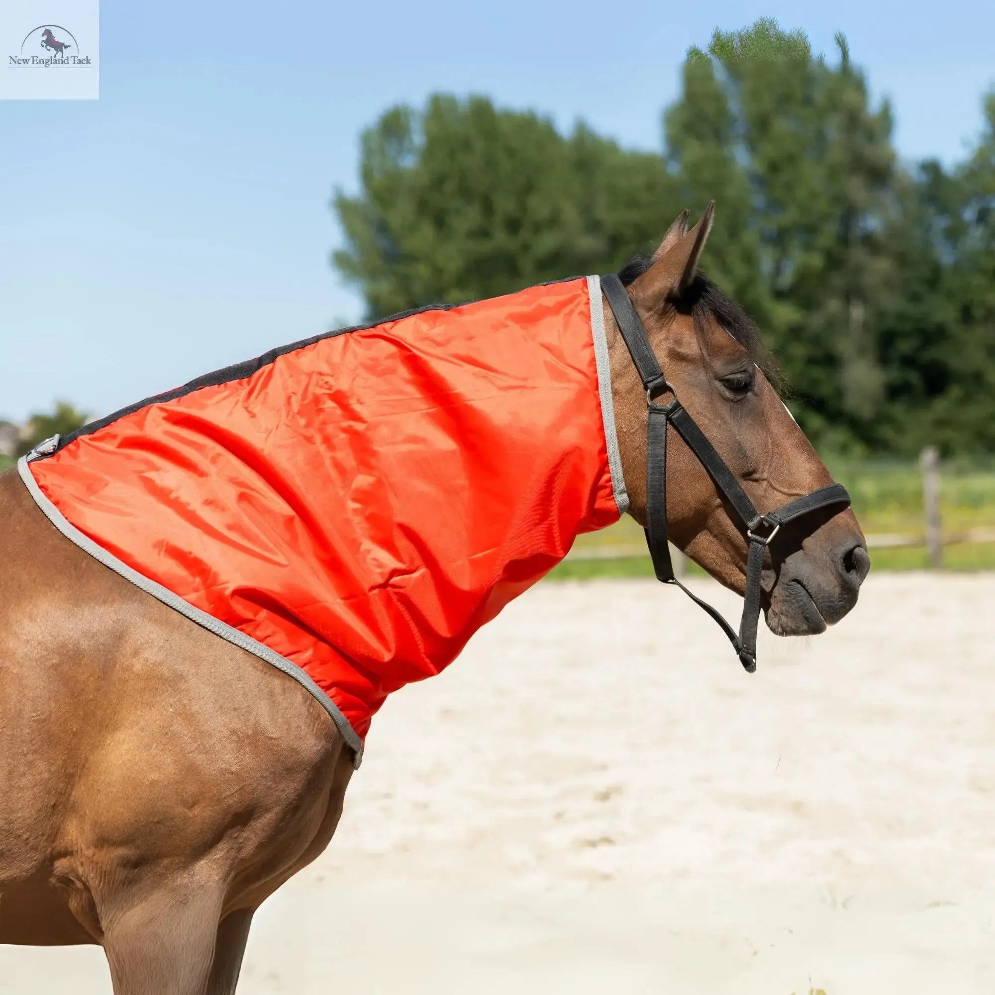 Resistance Lightweight Breathable Horse Neck Cover | Comfortable Waterproof Headless Hood (200 gm Fill)