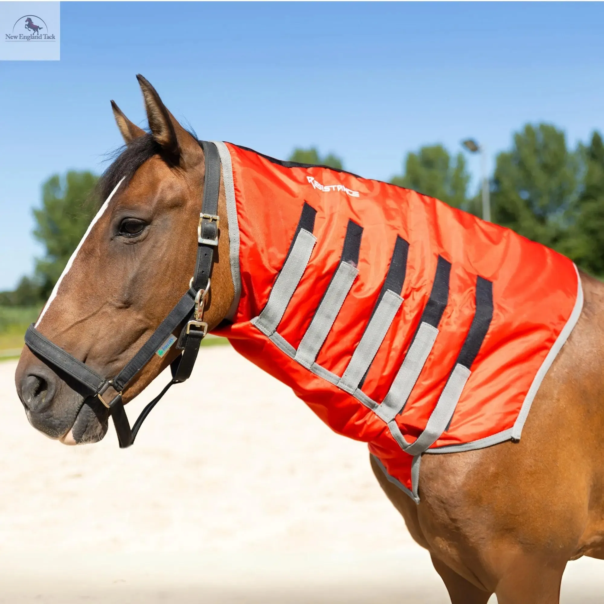 Resistance Lightweight Breathable Horse Neck Cover | Comfortable Waterproof Headless Hood (200 gm Fill)