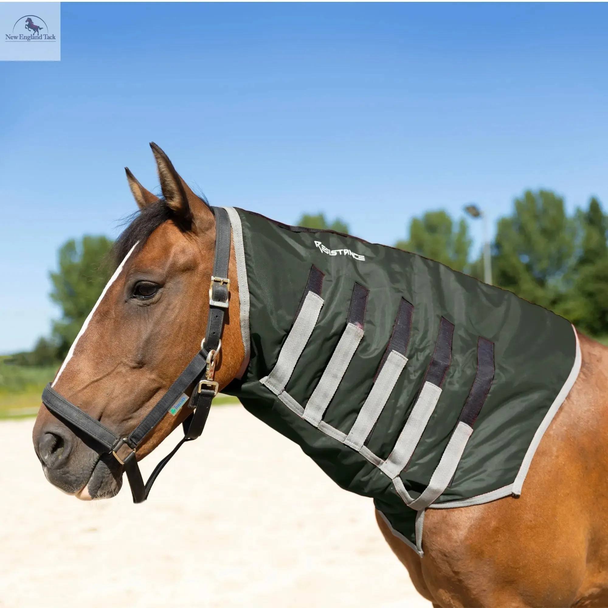 Resistance Lightweight Breathable Horse Neck Cover | Comfortable Waterproof Headless Hood (200 gm Fill)