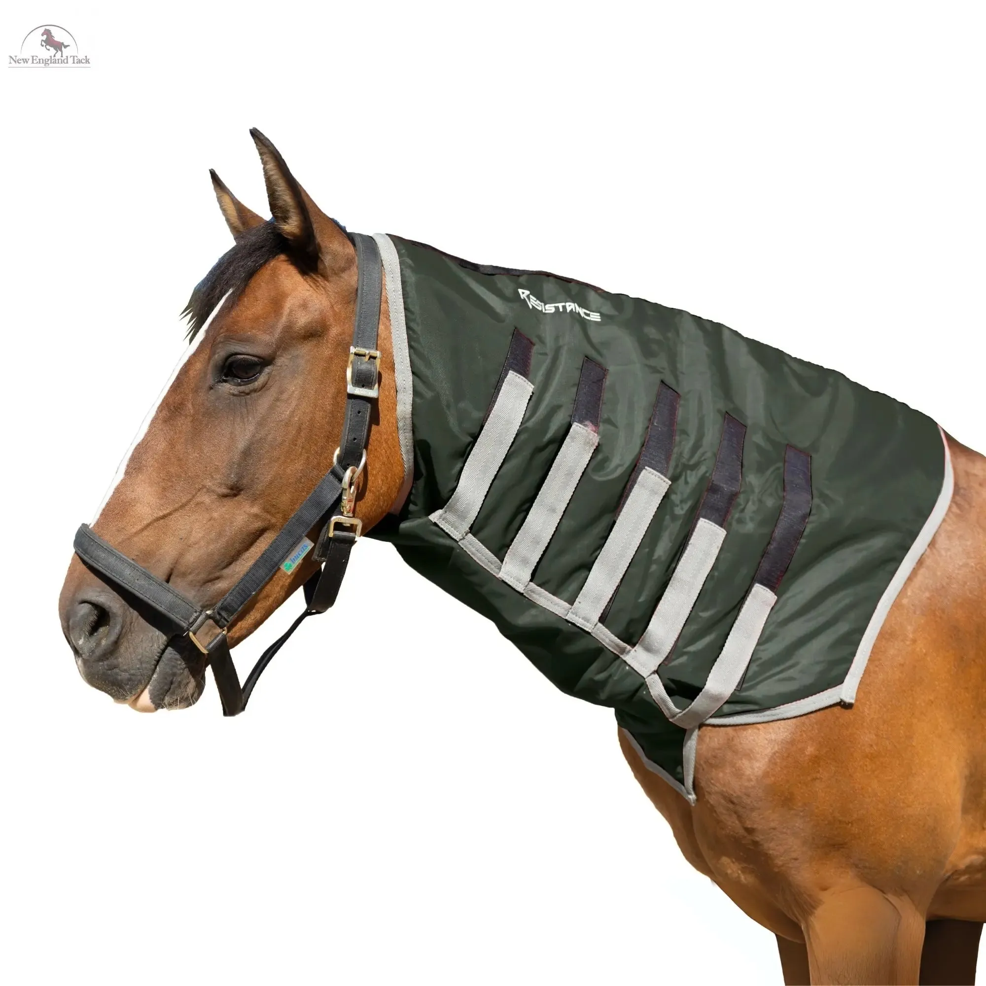 Resistance Lightweight Breathable Horse Neck Cover | Comfortable Waterproof Headless Hood (200 gm Fill)