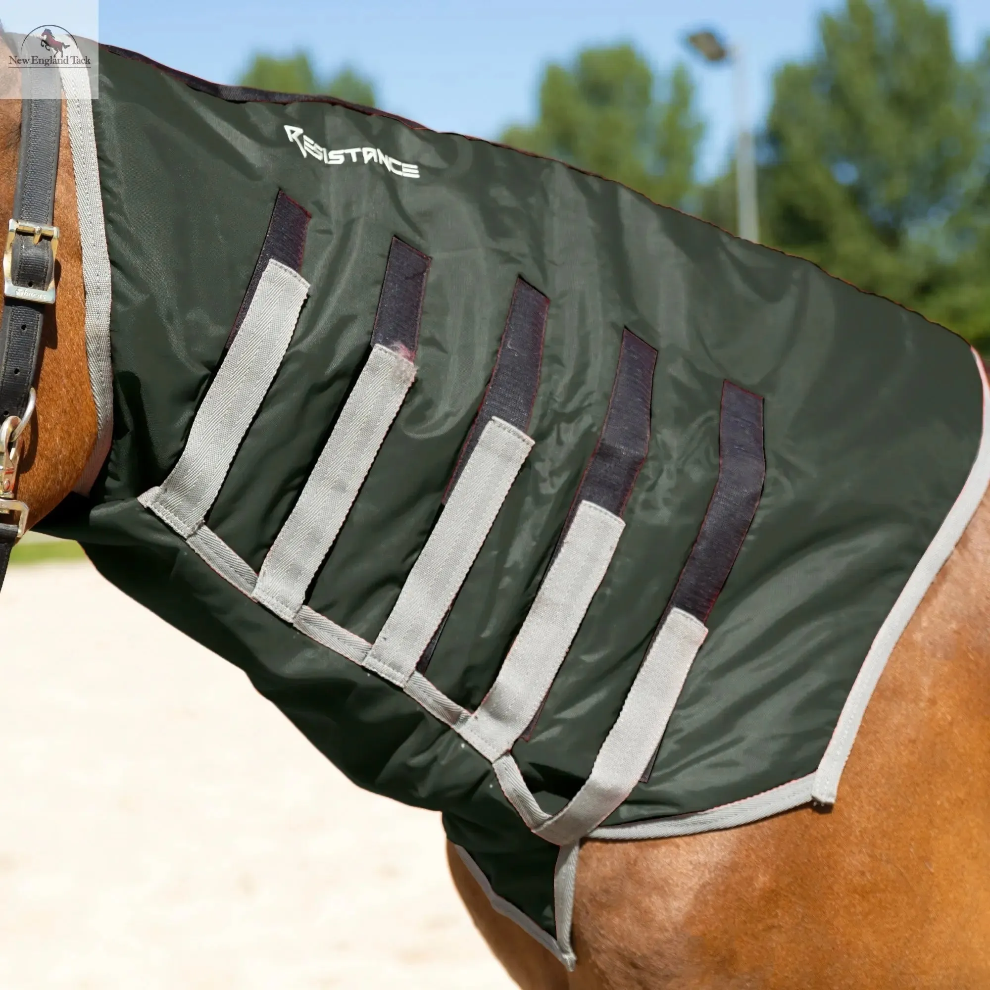 Resistance Lightweight Breathable Horse Neck Cover | Comfortable Waterproof Headless Hood (200 gm Fill)