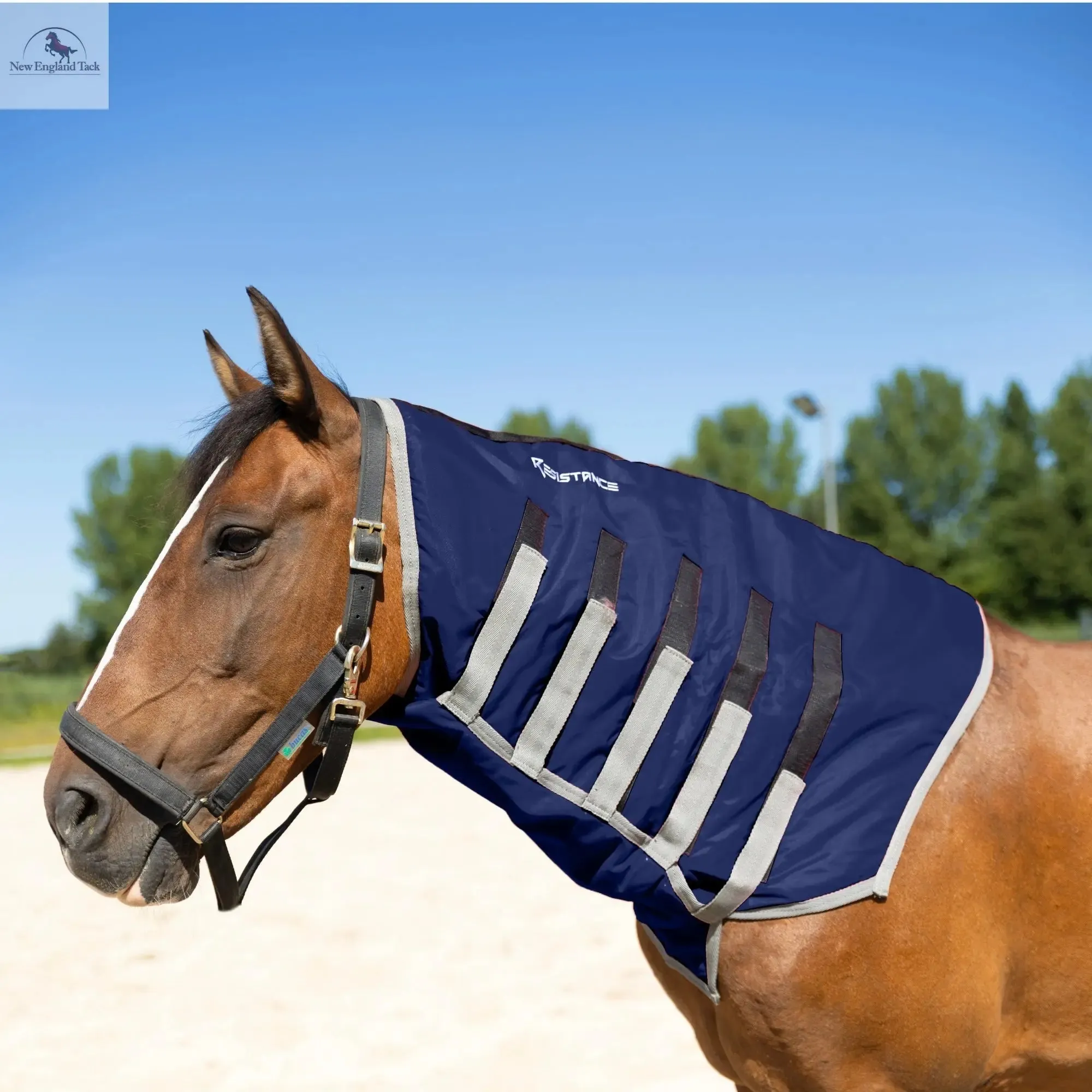 Resistance Lightweight Breathable Horse Neck Cover | Comfortable Waterproof Headless Hood (200 gm Fill)