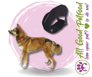 SALE 25% OFF -- Bitches Britches - Protective Dog Pants