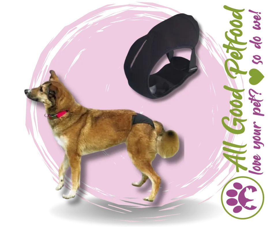 SALE 25% OFF -- Bitches Britches - Protective Dog Pants