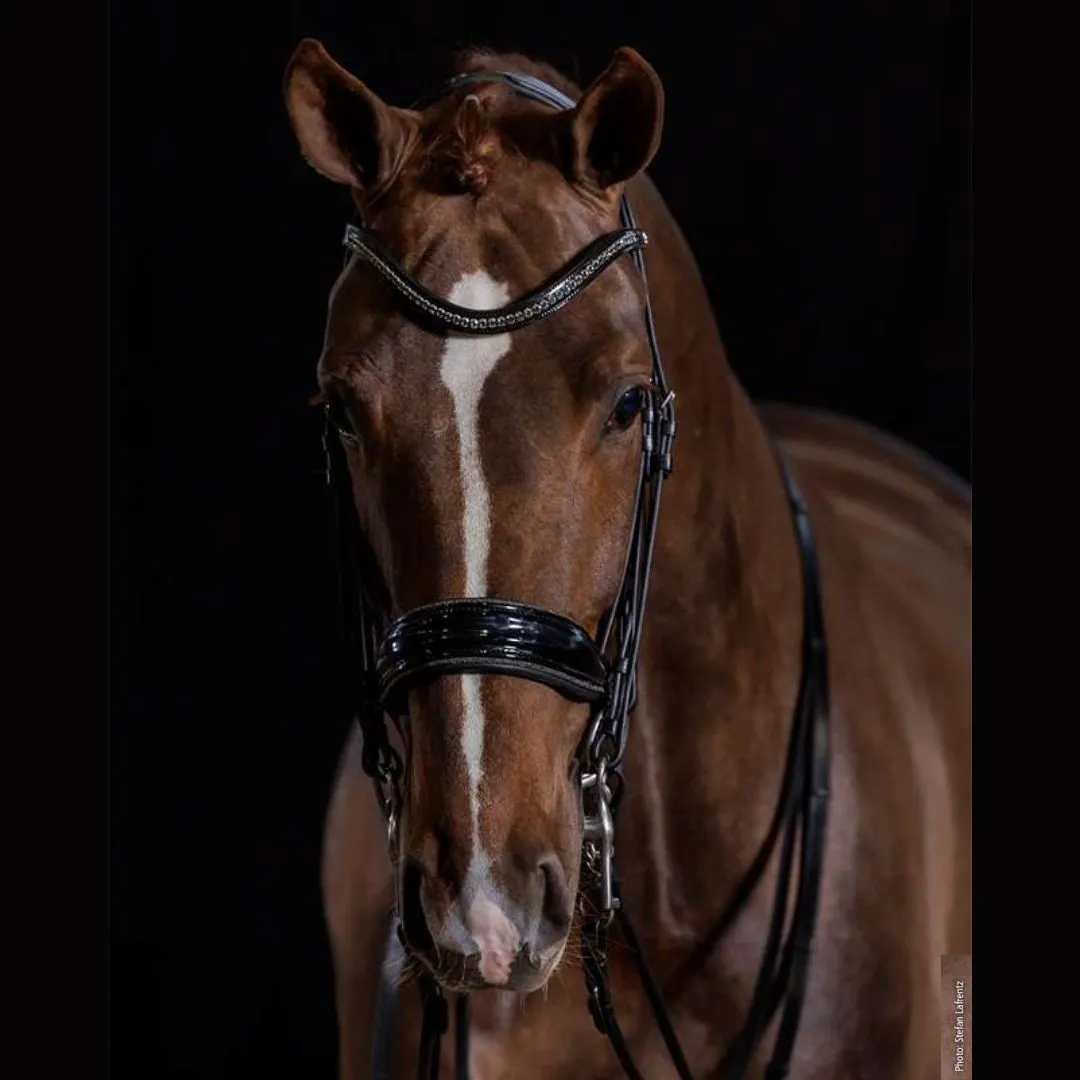 Schockemöhle Milan Glam Dressage Bridle