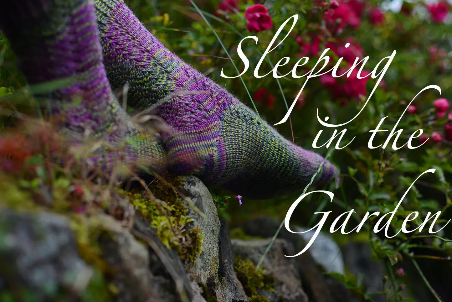 SLEEPING IN THE GARDEN