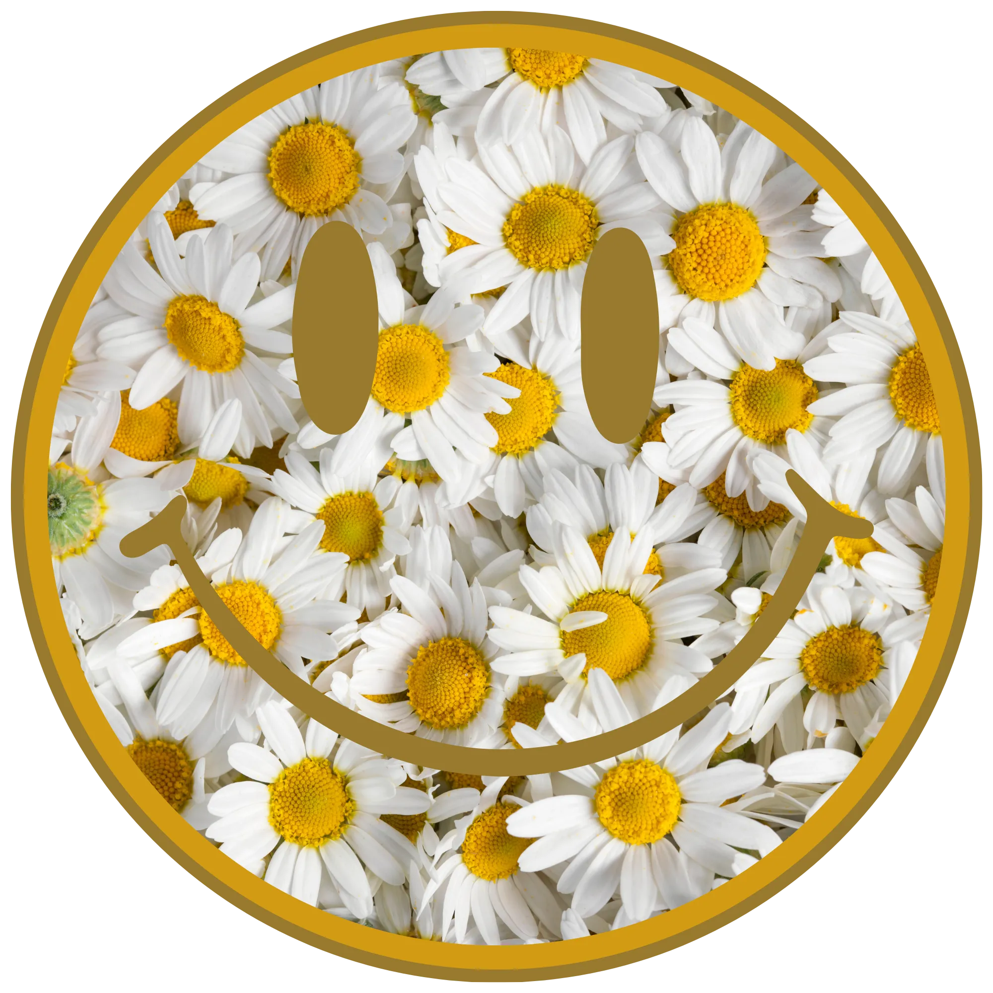 smiley face, heat transfer, press and peel