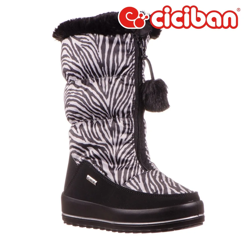 Snow Zebra 58
