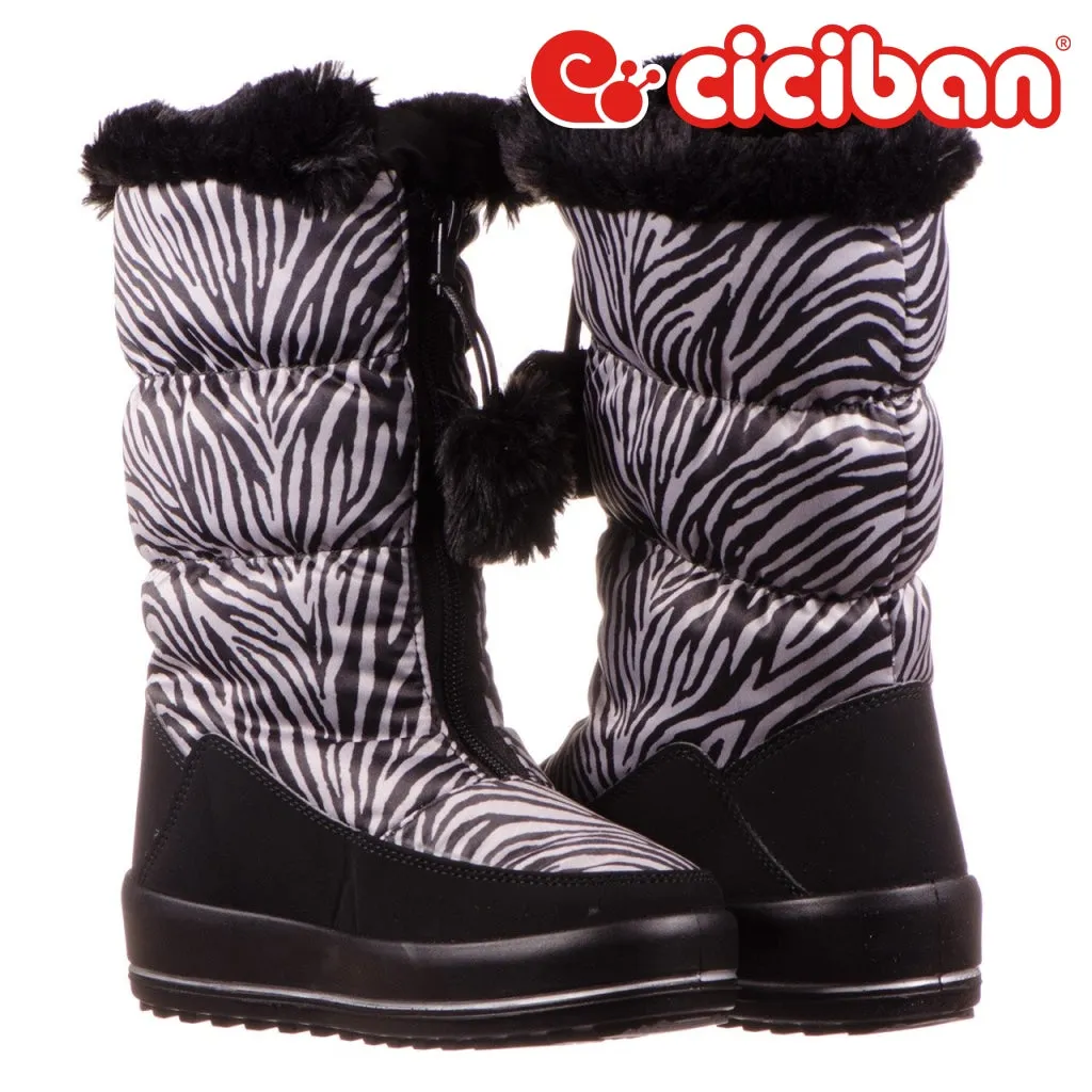 Snow Zebra 58