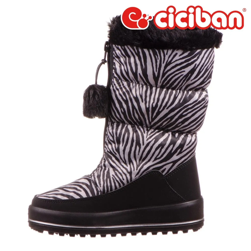 Snow Zebra 58