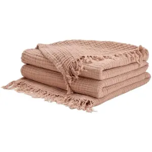 Sofia TH104 Blush Throw Blanket