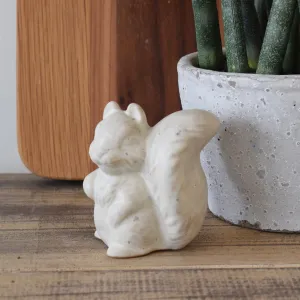 Squirrel White Speckled