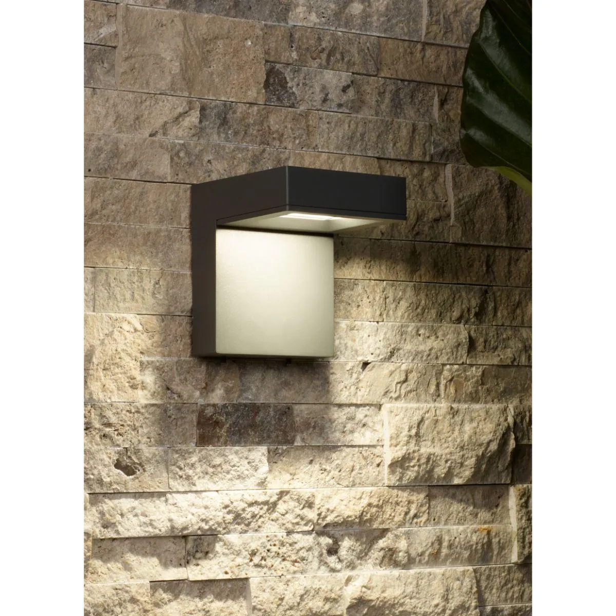 Taag 6 In. LED Outdoor Wall Sconce 4000K Bronze Finish