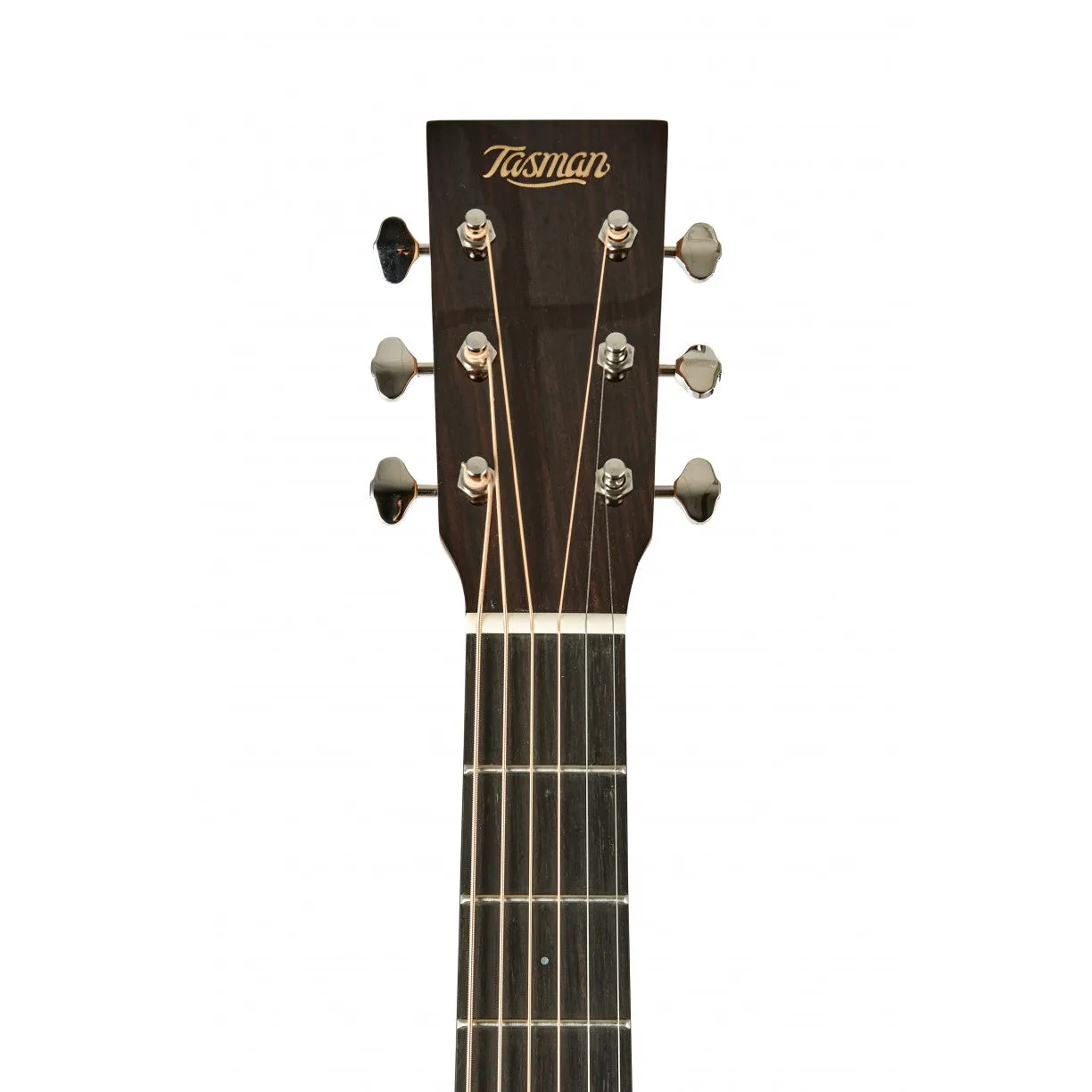 Tasman TA300-CE Dreadnought Cutaway Acoustic Electric with Premium Hard Case