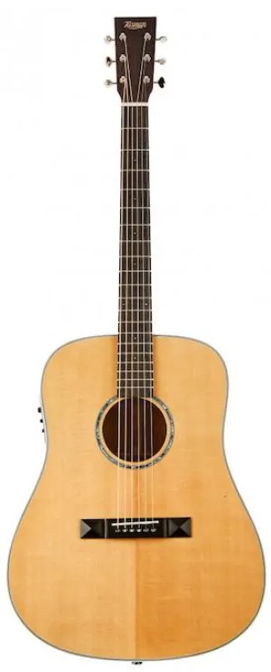 Tasman TA300-E Acoustic Electric With Case