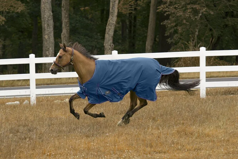 TuffRider 600 D  Comfy Winter Turnout Blanket Medium Weight 200 GSM Standard Neck