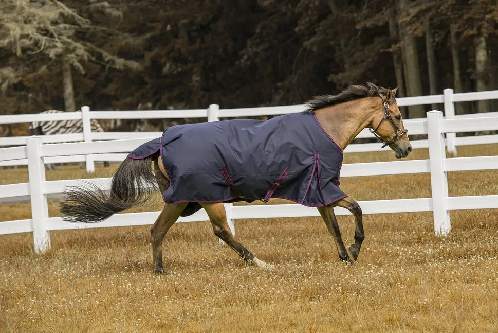 TuffRider 600 D  Comfy Winter Turnout Blanket Medium Weight 200 GSM Standard Neck