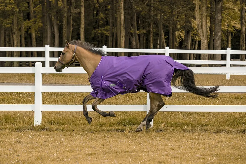 TuffRider 600 D  Comfy Winter Turnout Blanket Medium Weight 200 GSM Standard Neck
