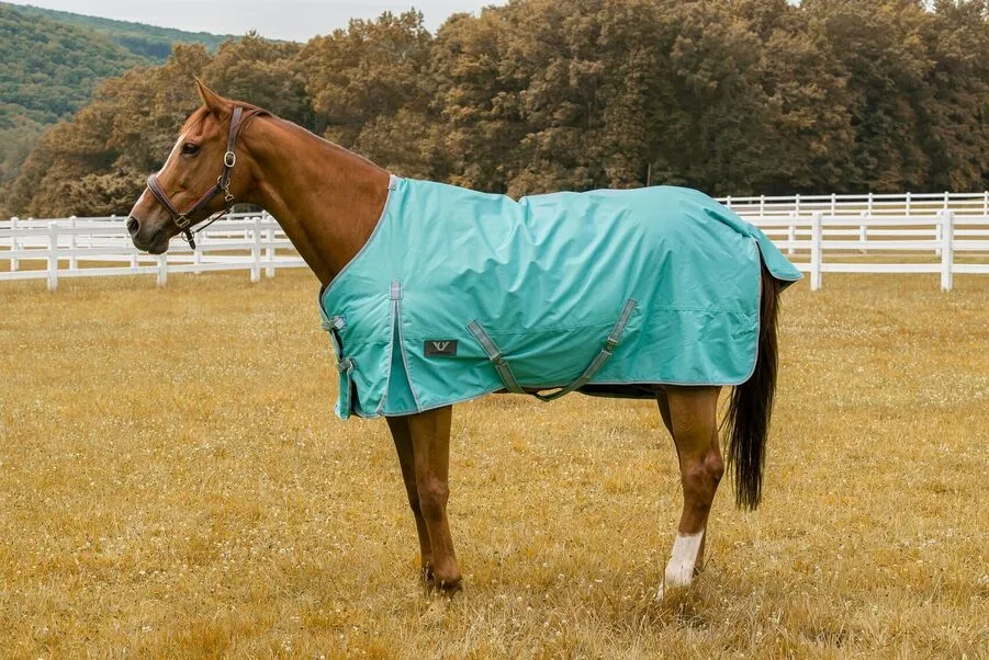 TuffRider 600 D  Comfy Winter Turnout Blanket Medium Weight 200 GSM Standard Neck