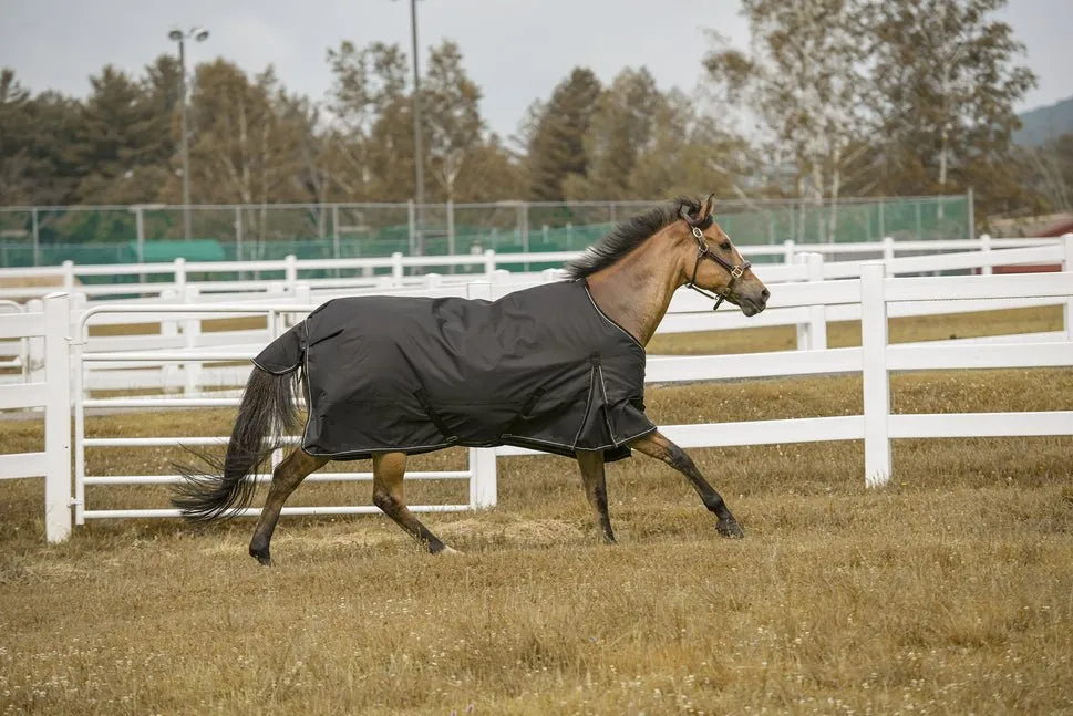 TuffRider 600 D  Comfy Winter Turnout Blanket Medium Weight 200 GSM Standard Neck