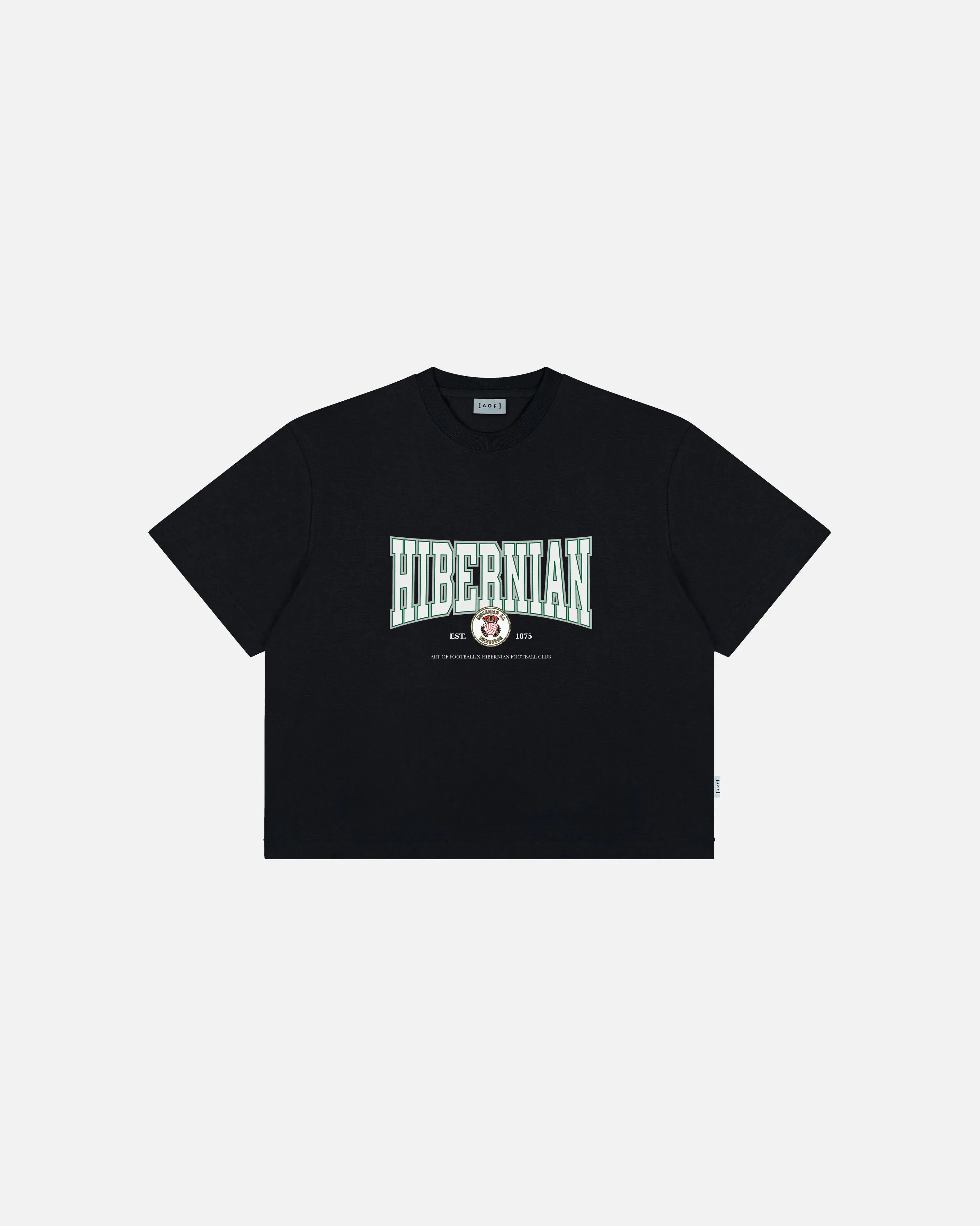 University of Hibs Crop Fit Tee