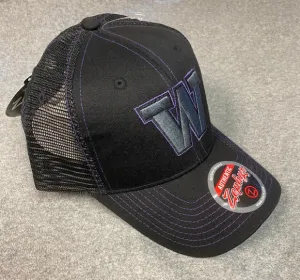 University of Washington Men's Zephyr Adjustable Hat