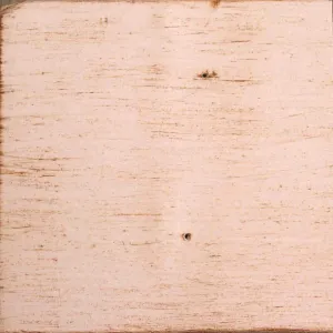 Winter White on Reclaimed Wood